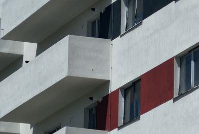 Apartament cu 2 camere decomandat în Timișoara