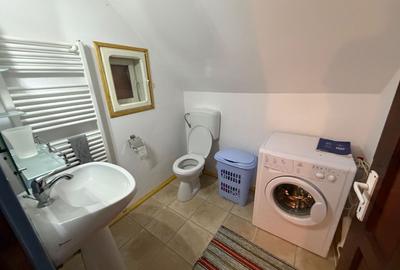 Casă individuală cu 3 camere cu Canalizare în Bubești - 19