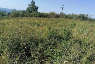 Teren de 5755 mp, în Sud-Est