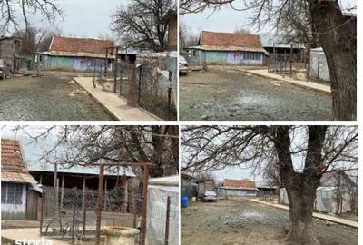 Casă cu 4 camere cu Teren 4251 Mp în Axintele