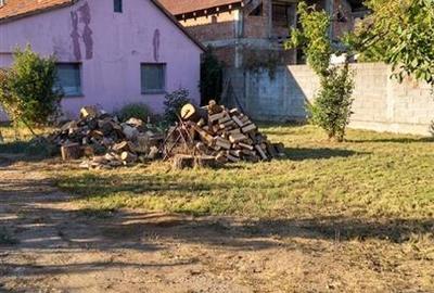 Casă cu 3 camere cu Teren 3066 Mp în Livada de Bihor