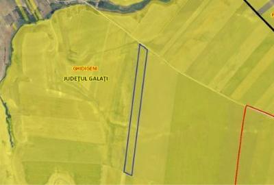 Teren agricol extravilan de 62000 mp, în Ghidigeni - 1