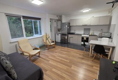 Apartament cu 2 camere semidecomandat, mobilat în Andrei Mureșanu - 2