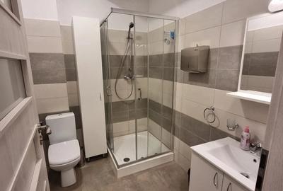 Apartament cu 2 camere semidecomandat în Mărăști - 1