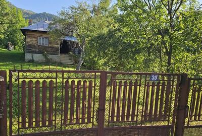 Casă cu 4 camere cu Teren 3000 Mp în Central - 2