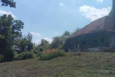 Casă cu Teren 9515 Mp în Dăești