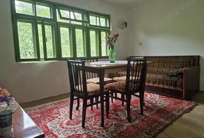 Casă cu 4 camere cu Teren 11802 Mp în Central - 2