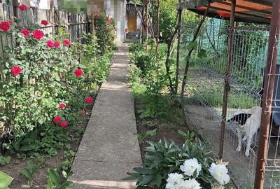 Casă cu Teren 150 Mp în Palas