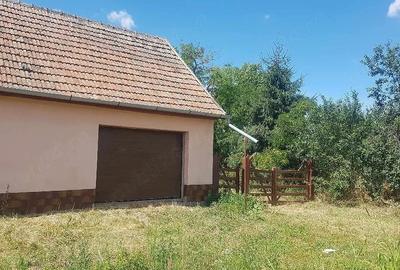 Casă cu Teren 1464 Mp în Vinga - 4