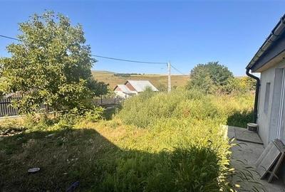 Casă individuală cu 2 camere cu Canalizare în Dorobanț - 15