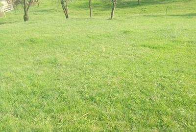 Teren Construcții intravilan de 1000 mp, în Meteș - 6