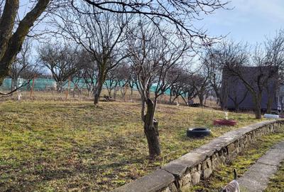 Teren intravilan de 4200 mp, în Periferie