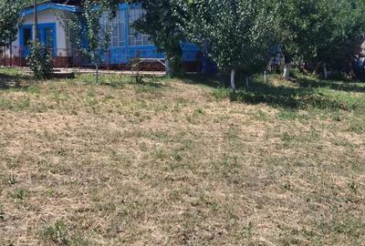 Casă cu 2 camere cu Teren 1000 Mp în Vânători