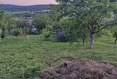 Teren de 740 mp, în Tomești - 8