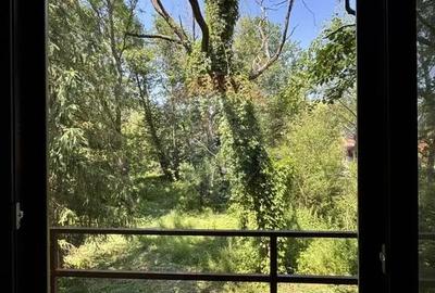 Casă cu 4 camere cu Teren 1300 Mp în Paltin - 2