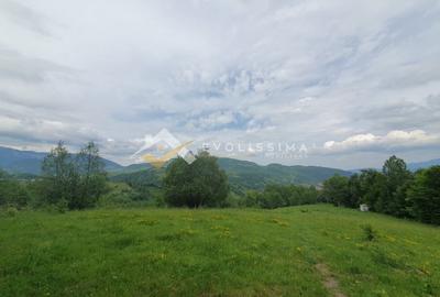 Teren Construcții intravilan de 11396 mp, în Moieciu de Jos - 11