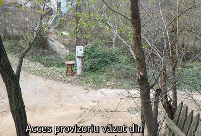 Teren în Pecinișca - 6