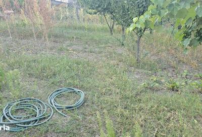 Casă cu 3 camere cu Teren 766 Mp în Viile Noi
