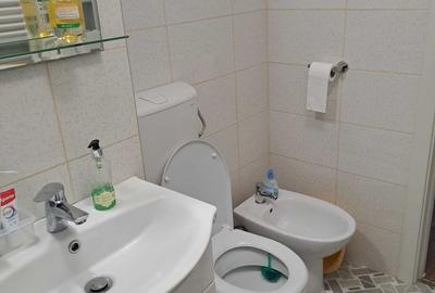 Apartament cu 2 camere decomandat în Sub Arini