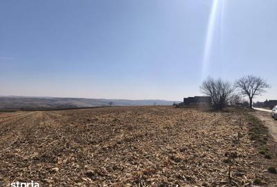 Teren de 6500 mp, în Grănicești - 3