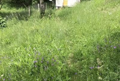 Teren de 1000 mp, în Băbana - 6