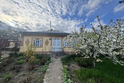 Casă cu 3 camere în Mănăstirea Doamnei