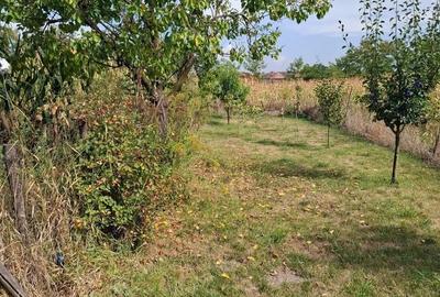 Casă cu 3 camere în Vidrasău