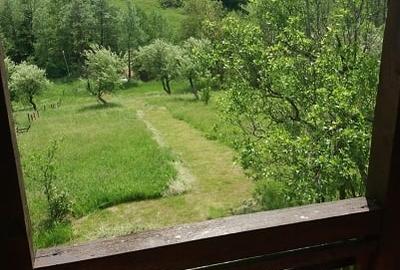 Teren extravilan de 3000 mp, în Cosmina de Sus - 5