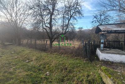 Teren Construcții intravilan de 813 mp, în Dăești - 5
