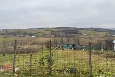 Teren de 4750 mp, în Chicerea - 5