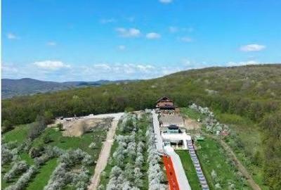 Teren de 1500 mp, în Grebănu - 1