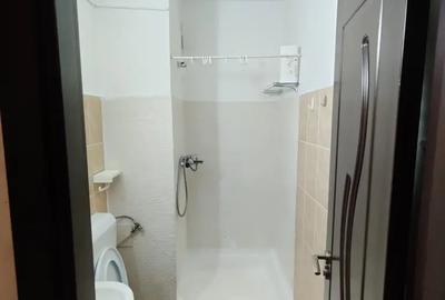 Garsonieră în Lucrețiu Pătrășcanu - 1