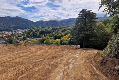 Teren Construcții intravilan de 800 mp, în Drumul Poienii - 4