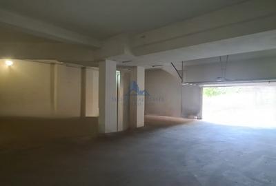 Spațiu industrial, de 181 mp, în Mihai Viteazul - 2