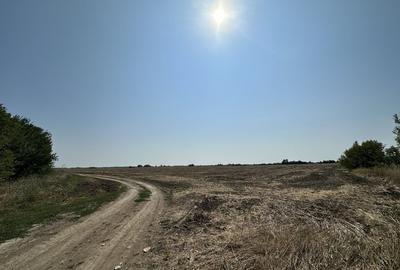 Teren de 23300 mp, în Central - 2