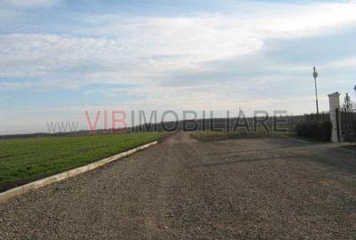 Teren de 61830 mp, în Belciugatele - 8