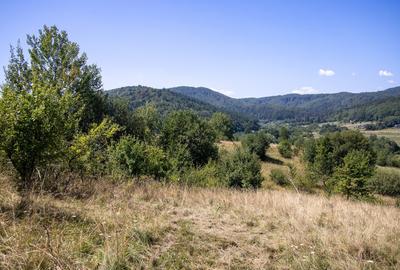 Teren extravilan de 4200 mp, în Vulcan - 10