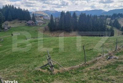 Teren de 16874 mp, în Fundata - 3