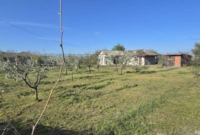 Casă cu 4 camere cu Teren 1917 Mp în Corbu - 3