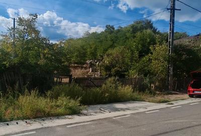 Teren de 500 mp, în Smeura