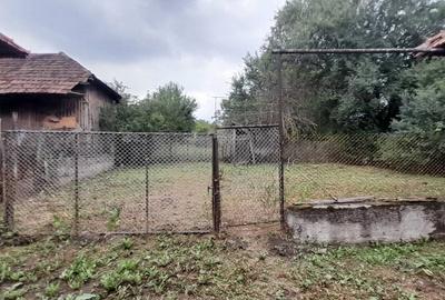 Casă cu 2 camere în Câmp - 3