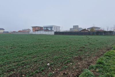 Teren agricol intravilan de 10000 mp, în Exterior Sud - 1