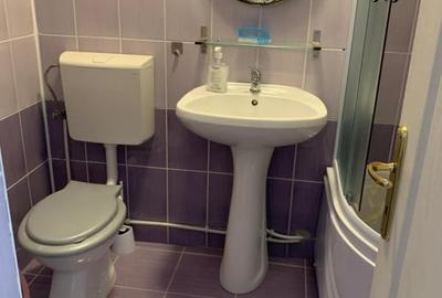 Apartament cu 2 camere semidecomandat în Între Lacuri - 11
