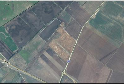 Teren agricol extravilan de 10 mp, în Giarmata - 3