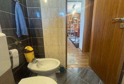 Apartament cu 3 camere semidecomandat în Soarelui - 13