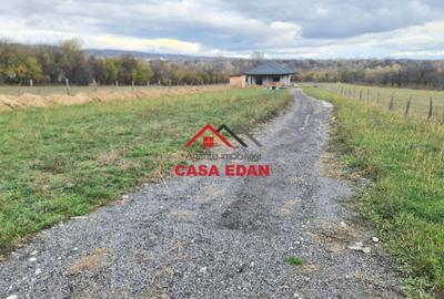 Casă individuală cu 5 camere cu Teren 5034 Mp în Câmpina - 6