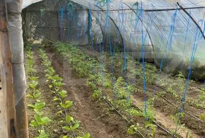 Casă cu 5 camere cu Teren 3000 Mp în Hida - 1