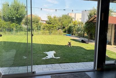 Casă cu 5 camere cu Teren 879 Mp în Dumbrăvița - 2