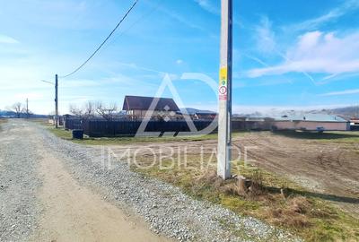 Teren Construcții intravilan de 3725 mp, în Bumbești-Pițic - 5