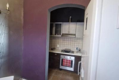 Apartament cu 2 camere semidecomandat în Iosefin - 2